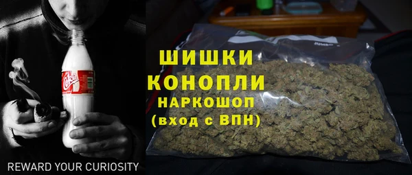 крисы Армянск
