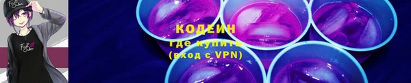 крисы Армянск