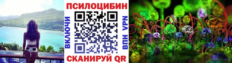 Псилоцибиновые грибы мицелий  купить наркотик  Канаш 